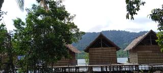 Alvano homestay - 4