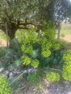 Gite La Vigne, avec piscine & jacuzzi-15 pers - 4