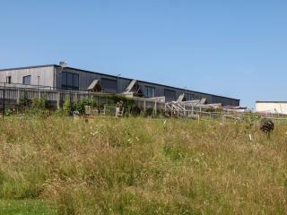 Fieldstone Barn - 8