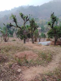 Lanka Farm House -Peaceful hilly home made from Stone and mud - 5