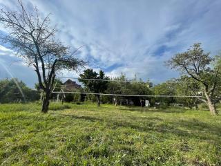 Green House Bosteri - 2