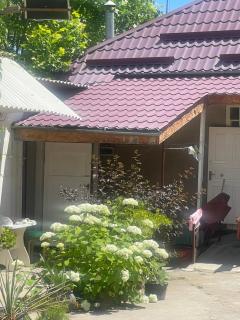 Green House Bosteri - 1
