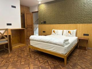 Gangzur Starlit Lodge Stok - 3