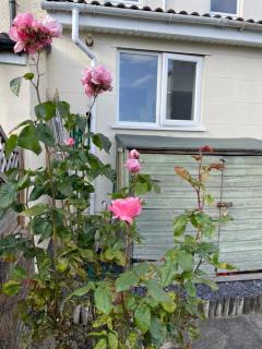Beautifully renovated 5 bedroom house with garden - 2