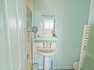 Vine - Uk51860 - 2