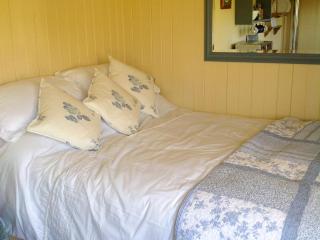 Beeches Shepherd Hut - 1