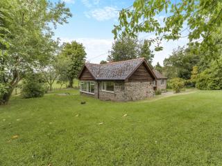 Steep Holm - 8