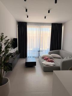 Ioanian Luxury Apartment - 1