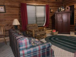 Dreams End Woodcliff Cabin - 9