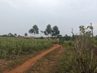 Creation Africa Home - 3