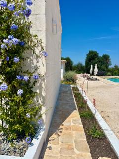 Trullo botanico - 1