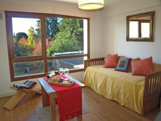 Bright and modern with lake view - 9