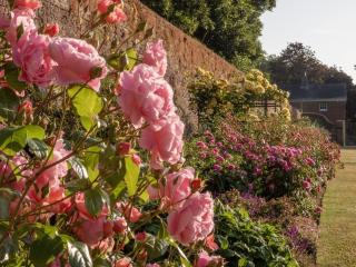 Beehives Cottage at Woodhall Park - 6