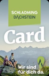 Appartements Wieseneck - Ramsau am Dachstein - inklusive Sommercard! - 9
