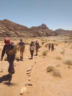 Jordan Nomads- Camping and Tours - 6