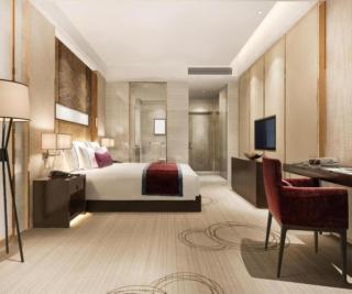 Hotel Elysian By G K Group Near IGI Delhi Airport - 7