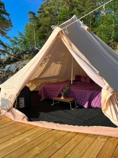 Glamping on the waterfront - 7