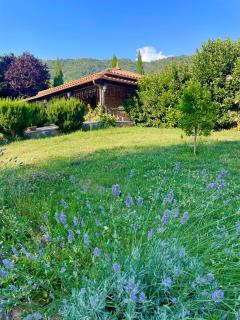 Agriturismo Le Grotte - 9