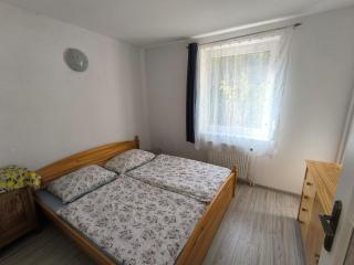 Vila v Podkrušnohoří - 8