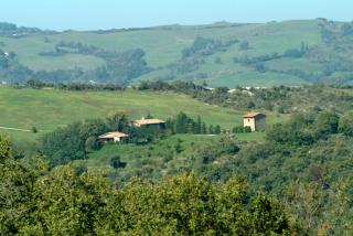 Agriturismo il tempio delle api - 7