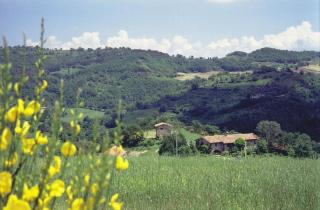 Agriturismo il tempio delle api - 9