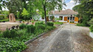 Campoarique - 8