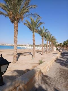 Red sea resort - 4