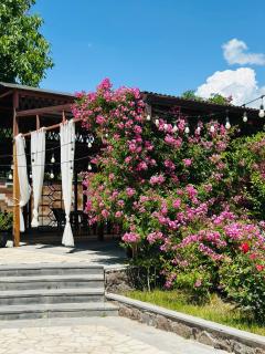 Harmonia Garden Hotel&Gastroyard - 1
