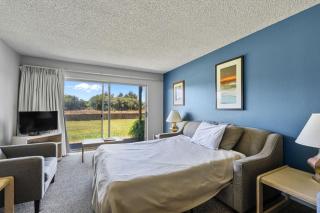 Pet Friendly Suite with Kitchen - Pool and Hot Tub - 3