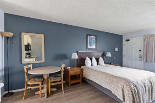 Ground Floor Studio - Pet-Friendly with Kitchenette - Pool and Hot Tub - 6