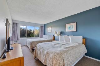 Pet Friendly Suite with Kitchen and Patio - Ground Floor - Pool and Hot Tub - 3