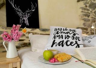 Val Aran: apartamento con chimenea,jardín y vistas - 1