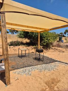 Los Olivos del Colibri - 3