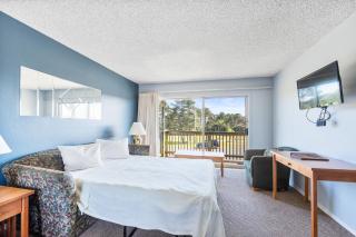 Family Suite for 6 Pet-friendly with Fireplace and Kitchen - Pool and Hot Tub - 8