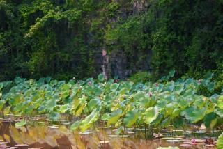 Tam Coc Aurora Valley 2 - 3