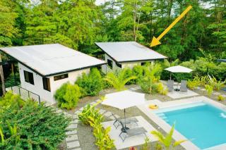 Sharma Costa Rica- Mimosa Casita - 8