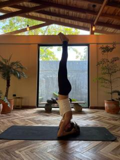 Casa del Pavo Real Boutique Hotel Yoga & Spa - 4