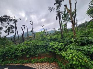 Shrunga Shreni Homestay - Near to trekking and falls - 0
