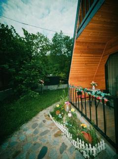 Mountain Cottage - Ananuri - 7