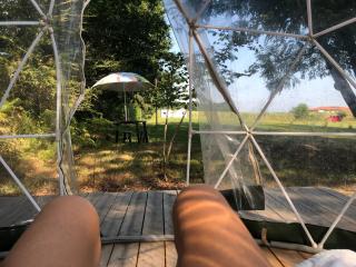 Bulle en Nature Landaise - 3