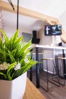 NOUVEAU STUDIO OMER - Netflix & Clim - Centre Ville Transports - Idéal PRO ou COUPLE - Cosy & Confort - OFFRE SPÉCIALE - 6