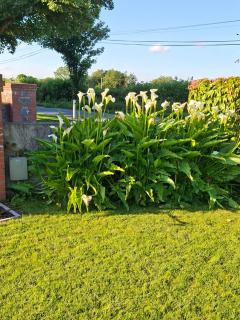 White Quarry House - Navan - 3