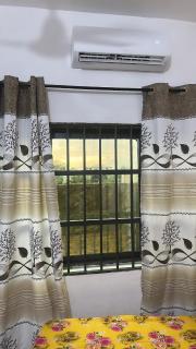 Grand Appartement - 1