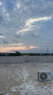 Grand Appartement - 6