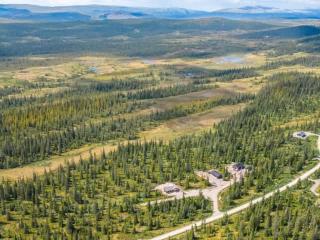 New cabin at 800 meters above sea level, close to Bittermarka dogs welcome - 7