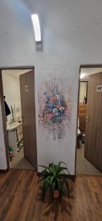 Centrul Vechi Apart - 1