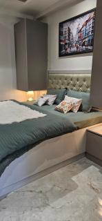 Chic & Cozy 1BHK on Golf Course Road, Sector 55 - 4