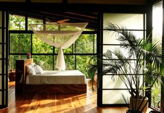 Architect Jungle Retreat 25m Lap Pool - 6