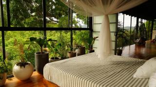 Architect Jungle Retreat 25m Lap Pool - 5