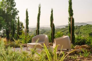 Vila das Acácias - Boutique Villa in Wine Country - 6